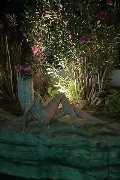 Foto Annunci Escort Civitanova Marche Blondie 389 2515978 - 46