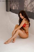 Foto Annunci Escort Ravenna Solfi 388 4682252 - 17