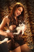Foto Annunci Escort Verbania Alessa Venezuelana 353 3541305 - 34